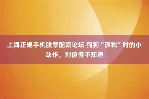 上海正规手机股票配资论坛 狗狗“孤独”时的小动作，别傻傻不知道