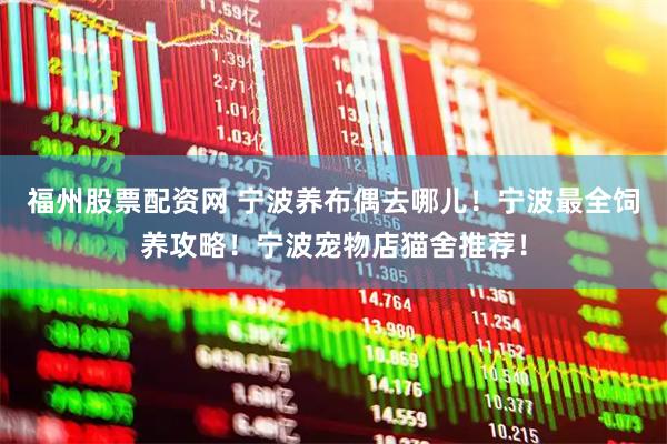 福州股票配资网 宁波养布偶去哪儿！宁波最全饲养攻略！宁波宠物店猫舍推荐！