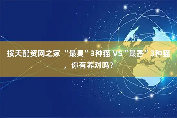 按天配资网之家 “最臭”3种猫 VS“最香”3种猫，你有养对吗？